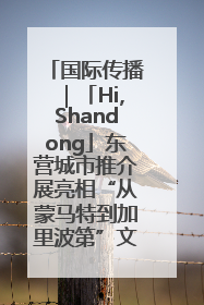 国际传播｜「Hi,Shandong」东营城市推介展亮相“从蒙马特到加里波第”文化节