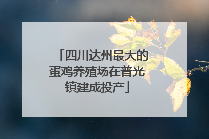 四川达州最大的蛋鸡养殖场在普光镇建成投产