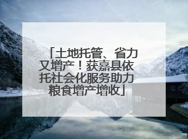 土地托管、省力又增产！获嘉县依托社会化服务助力粮食增产增收
