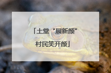 土堂“展新颜” 村民笑开颜