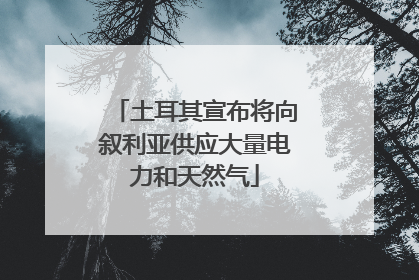 土耳其宣布将向叙利亚供应大量电力和天然气