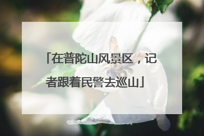 在普陀山风景区，记者跟着民警去巡山
