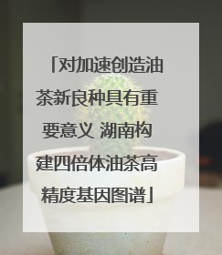 对加速创造油茶新良种具有重要意义 湖南构建四倍体油茶高精度基因图谱