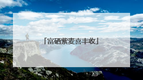 富硒紫麦喜丰收