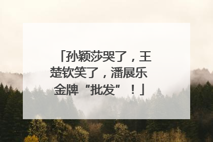 孙颖莎哭了，王楚钦笑了，潘展乐金牌“批发”！