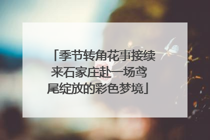 季节转角花事接续 来石家庄赴一场鸢尾绽放的彩色梦境