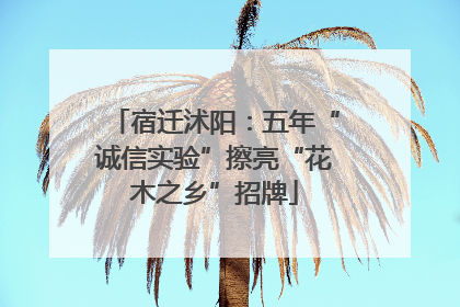 宿迁沭阳：五年“诚信实验”擦亮“花木之乡”招牌