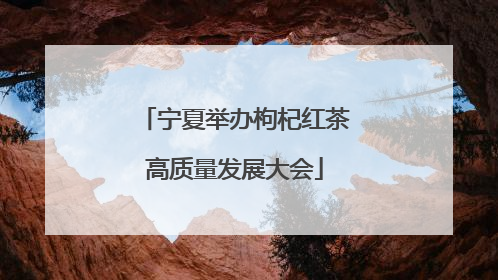 宁夏举办枸杞红茶高质量发展大会