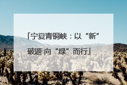 宁夏青铜峡：以“新”破题 向“绿”而行