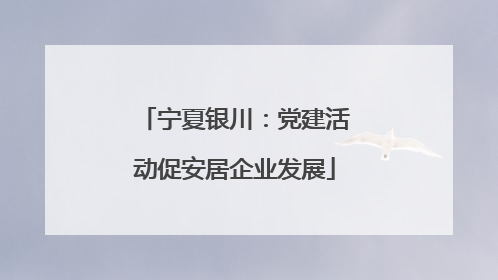 宁夏银川：党建活动促安居企业发展