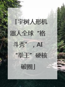 宇树人形机器人全球“格斗秀”，AI“拳王”硬核破圈