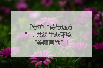 守护“诗与远方”，共绘生态环境“美丽画卷”
