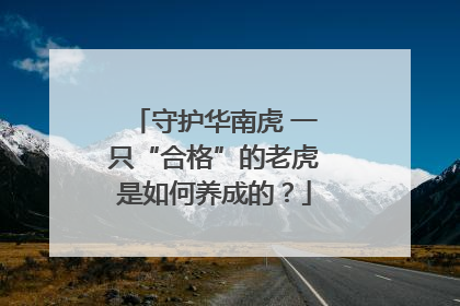 守护华南虎 一只“合格”的老虎是如何养成的？