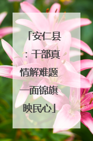 安仁县：干部真情解难题一面锦旗映民心