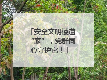 安全文明楼道“家”，党群同心守护它！