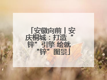 安徽向前丨安庆桐城：打造“锌”引擎 绘就“锌”图景