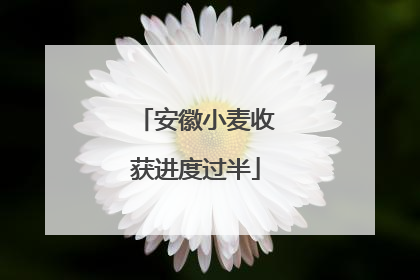 安徽小麦收获进度过半