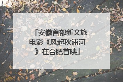 安徽首部新文旅电影《风起秋浦河》在合肥首映