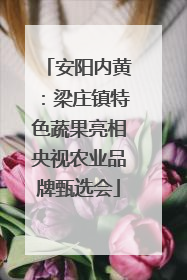 安阳内黄：梁庄镇特色蔬果亮相央视农业品牌甄选会