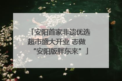 安阳首家非遗优选超市盛大开业 志做“安阳版胖东来”