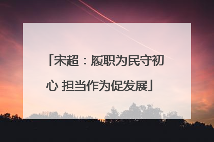 宋超：履职为民守初心 担当作为促发展