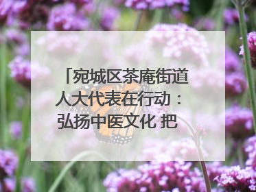 宛城区茶庵街道人大代表在行动：弘扬中医文化 把脉基层健康