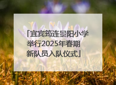 宜宾筠连景阳小学举行2025年春期新队员入队仪式