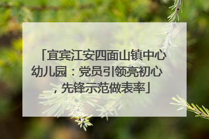 宜宾江安四面山镇中心幼儿园：党员引领亮初心，先锋示范做表率