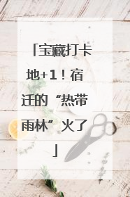 宝藏打卡地+1！宿迁的“热带雨林”火了