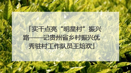 实干点亮“明星村”振兴路——记贵州省乡村振兴优秀驻村工作队员王培欢