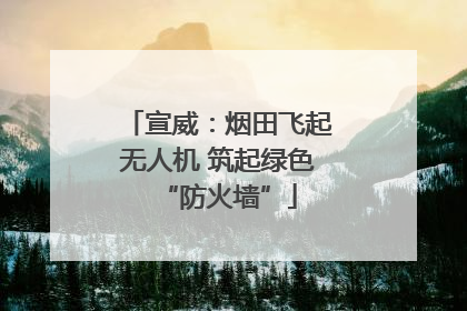 宣威：烟田飞起无人机 筑起绿色“防火墙”