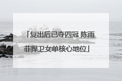复出后已夺四冠 陈雨菲捍卫女单核心地位