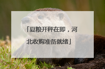 夏粮开秤在即，河北收购准备就绪