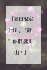 夏日限定上线，“荷”你相遇洪山！