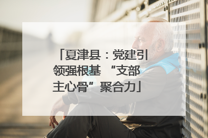 夏津县：党建引领强根基 “支部主心骨”聚合力