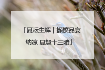 夏耘生辉｜撷樱品宴纳凉 夏趣十三陵