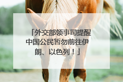 外交部领事司提醒中国公民暂勿前往伊朗、以色列！