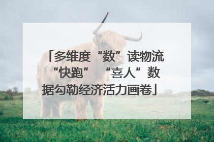 多维度“数”读物流“快跑” “喜人”数据勾勒经济活力画卷
