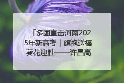 多图直击河南2025年新高考｜旗袍送福 葵花迎胜——许昌高考首日拉开帷幕