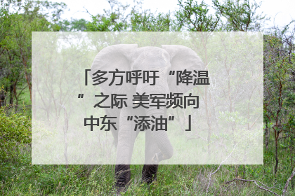 多方呼吁“降温”之际 美军频向中东“添油”