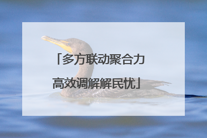 多方联动聚合力 高效调解解民忧