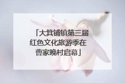 大箕铺镇第三届红色文化旅游季在曹家晚村启幕