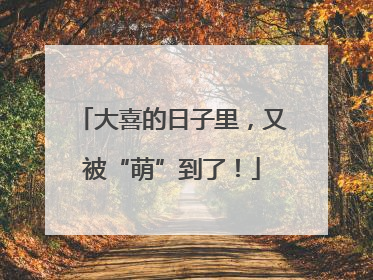 大喜的日子里，又被“萌”到了！