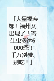 大量福寿螺！福州又出现了！寄生虫多达6000条！千万别碰、别吃！