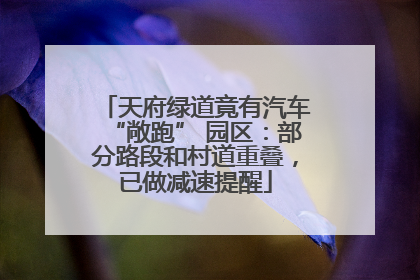 天府绿道竟有汽车“敞跑” 园区：部分路段和村道重叠，已做减速提醒
