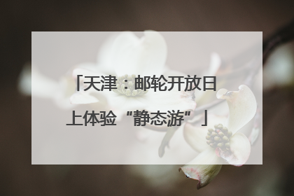 天津：邮轮开放日上体验“静态游”
