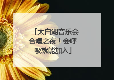 太白湖音乐会合唱之夜！会呼吸就能加入