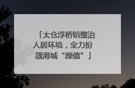 太仓浮桥镇整治人居环境，全力扮靓港城“颜值”