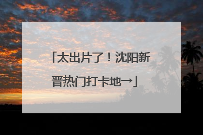 太出片了！沈阳新晋热门打卡地→