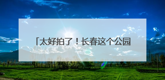 太好拍了！长春这个公园的“520花墙”火出圈